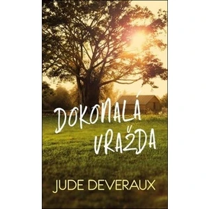 Dokonalá vražda - Jude Deveraux