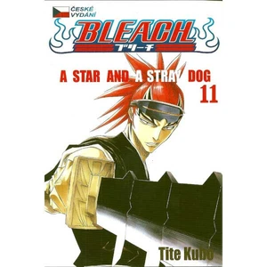 Bleach 11: A Star and a Stray Dog - Tite Kubo