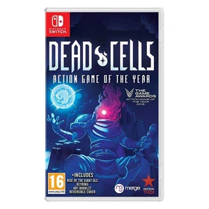 Dead Cells (Action Game of the Year)