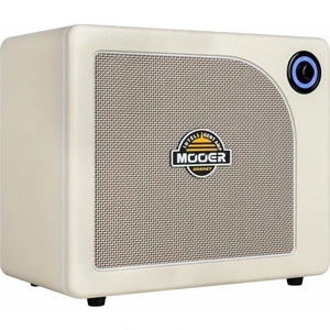 MOOER Hornet 30i