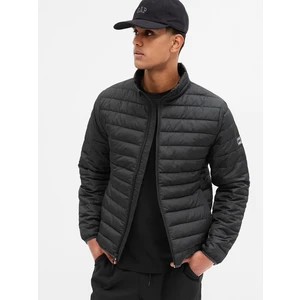 GAP Quilted Jacket - Men