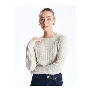 LC Waikiki Crew Neck Self-Patterned Long Sleeve Women's Knitwear Sweater