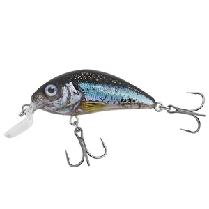 Salmo wobler rattlin hornet shallow runner clear holo smelt - 4,5 cm