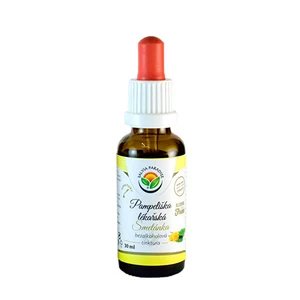 Salvia Paradise Púpava lekárska AF tinktúra 50 ml