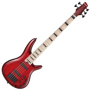 Ibanez ANB205-TWB Transparent Wine Red Burst