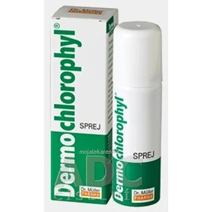 Dr. Müller DermoChlorophyl® sprej urýchľujúci hojenie 50 ml