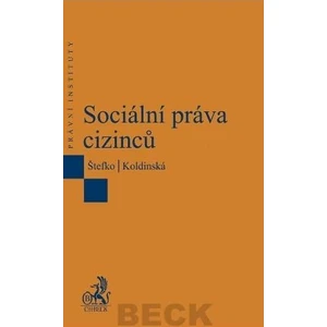 Sociální práva cizinců - Štefko M., Koldinská Kristina