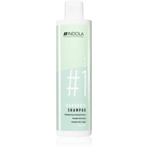 Indola Dandruff šampon proti lupům 300 ml