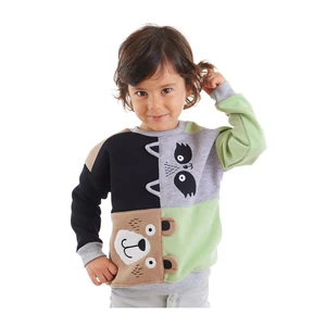 Denokids Raccoon And Bear Boy's Sweatshirt