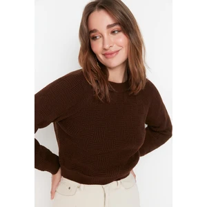 Trendyol Sweater - Brown - Regular fit