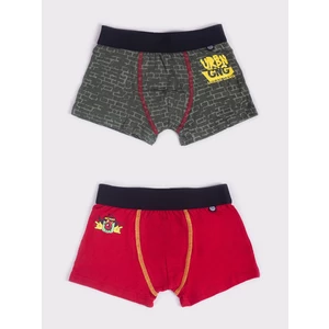 Yoclub Kids's 2Pack Boy's Boxer Briefs BMB-0016C-AA30