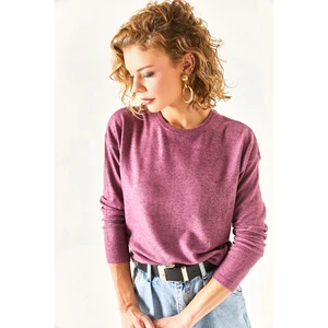 Olalook Women's Purple Crewneck Bat Soft-textured Blouse