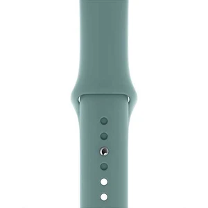 Apple Watch 44mm Cactus Sport Band - Regular