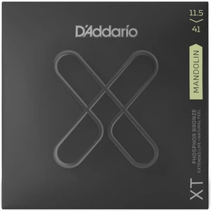 D'Addario XTM11541