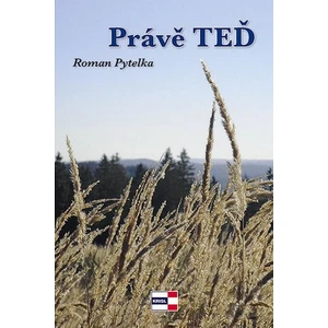 Právě teď - Roman Pytelka