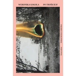 Po troškách - Weronika Gogola