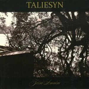 Jižní Amnésie - Taliesyn [CD album]