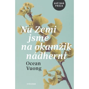 Na Zemi jsme na okamžik nádherní - Vuong Ocean [E-kniha]