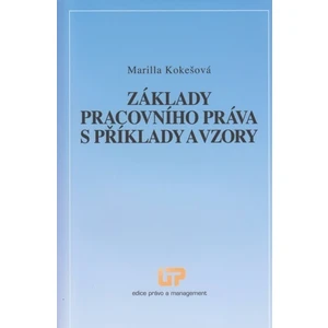 Základy pracovního práva s příklady a vzory