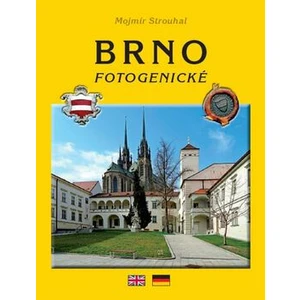 Brno fotogenické - Mojmír Strouhal