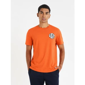 Celio T-Shirt Dragon Ball Z - Men