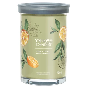 Svíčka YANKEE CANDLE Signature Tumbler 567g Sage & Citrus