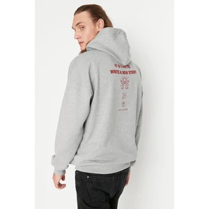 Trendyol Sweatshirt - Gray - Oversize