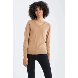 DEFACTO Regular Fit V-neck Pullover