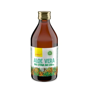 Wolfberry Aloe vera šťava 100% BIO 250 ml