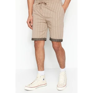 Trendyol Beige Men's Regular Mid-Length/Regular Cut Striped Shorts.