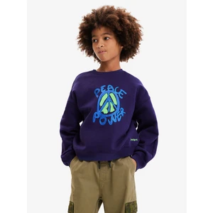 Dark blue boys' sweatshirt Desigual Arthur - Boys