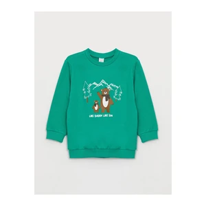 LC Waikiki Crew Neck Long Sleeve Printed Baby Boy Sweatshirt