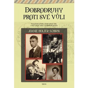 Dobrodruhy proti své vůli - Schirm Joanie Holzer