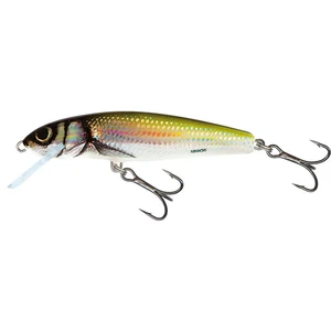 Salmo wobler minnow floating holo bleak-7 cm 6 g