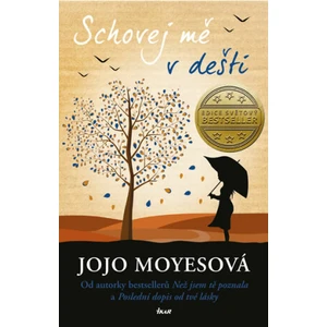 Schovej mě v dešti - Jojo Moyes