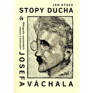 Stopy ducha