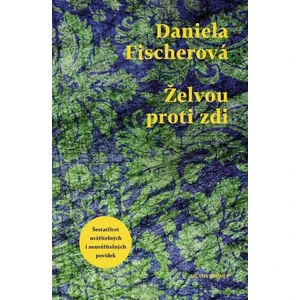 Želvou proti zdi - Daniela Fischerová