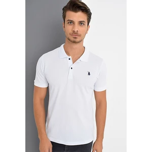 Polo da uomo  dewberry 5627