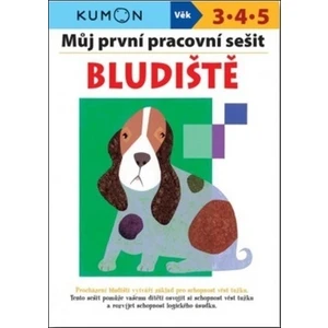 Můj první pracovní sešit Bludiště - Giovanni K. Moto