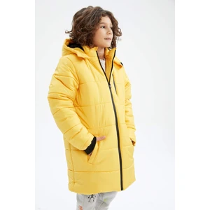 DEFACTO Hooded Plush Coat/Parka