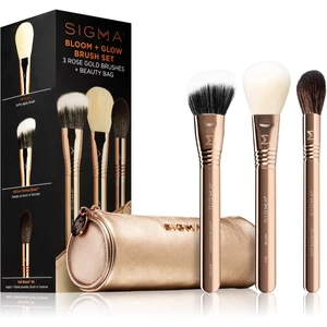 Sigma Beauty Bloom + Glow Brush Set sada štetcov s puzdrom