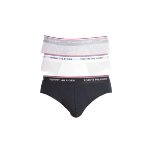 3PACK pánské slipy Tommy Hilfiger vícebarevné (1U87903766 004)