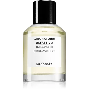 Laboratorio Olfattivo Kashnoir parfémovaná voda unisex 100 ml