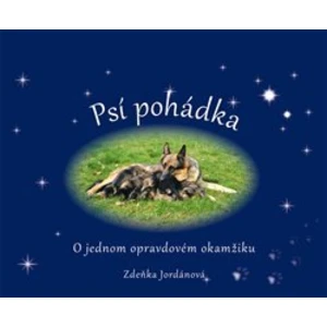 Psí pohádka o opravdovém okamžiku - O jednom opravdovém okamžiku