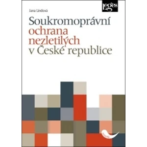 Soukromoprávní ochrana nezletilých v České republice - Jana Lindová