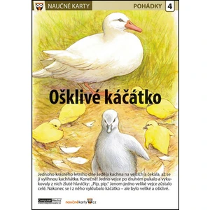 Ošklivé kačátko - Naučná karta