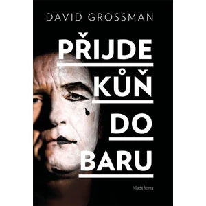 Přijde kůň do baru - Grossman David