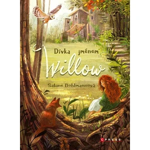 Dívka jménem Willow - Sabine Bohlmannová