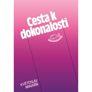 Cesta k dokonalosti - Květoslav Minařík - e-kniha