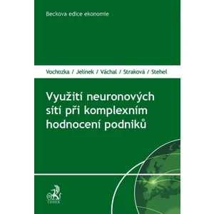 Využití neuronových sítí při komplexním hodnocení podniků